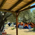 Camping Olive Trees