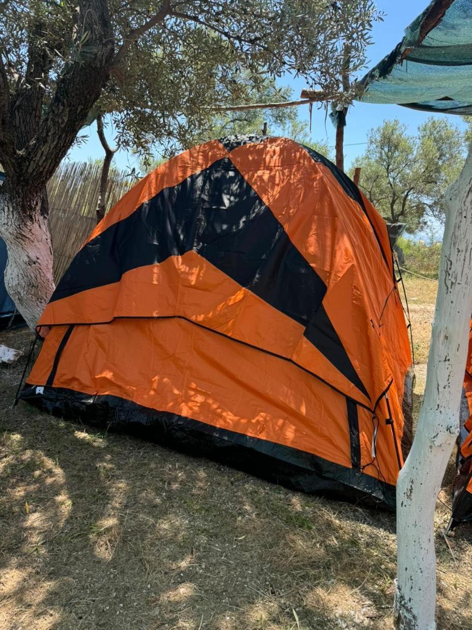 Camping Olive Trees Camping Qeparo