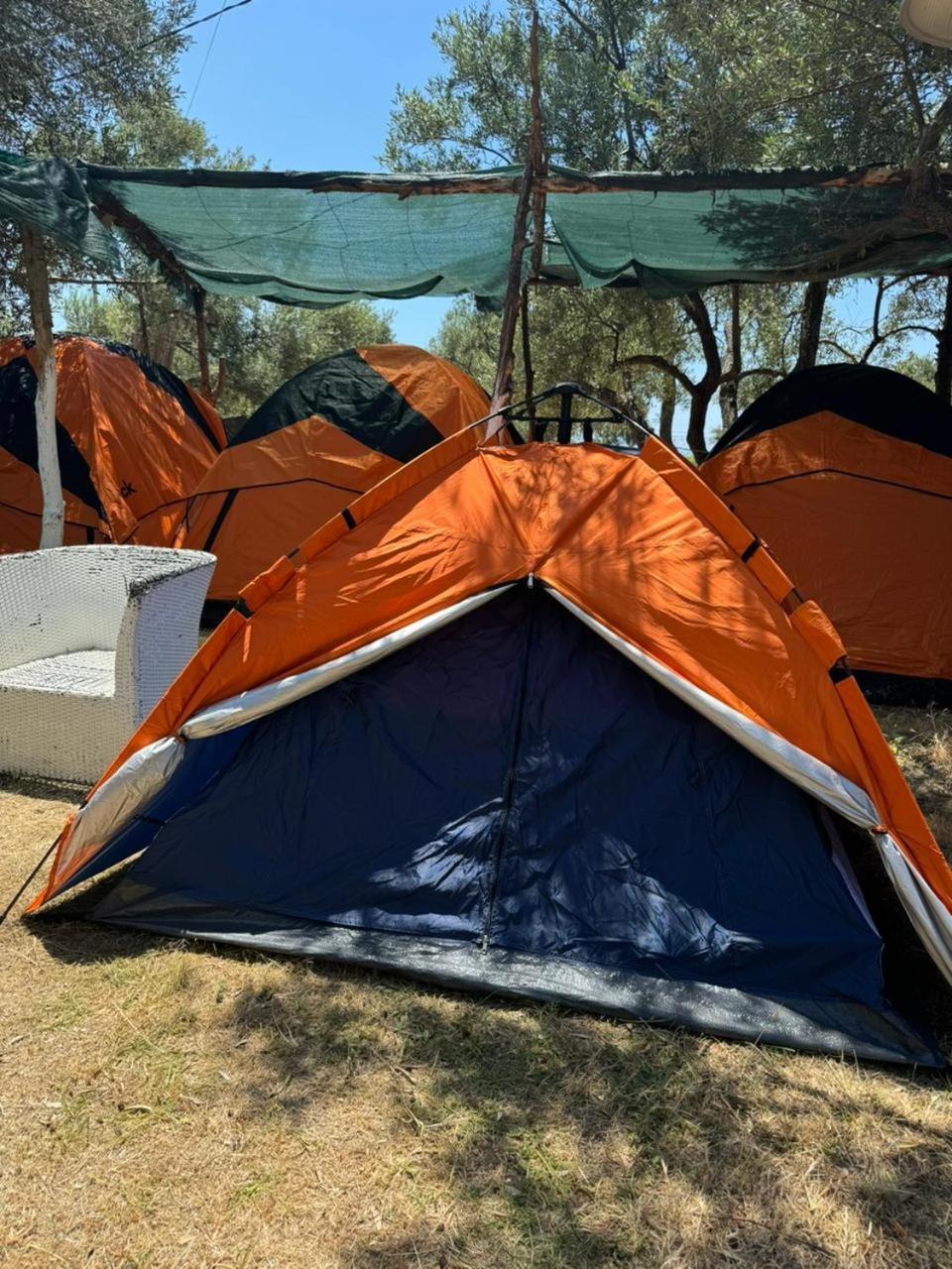 Camping Olive Trees Camping