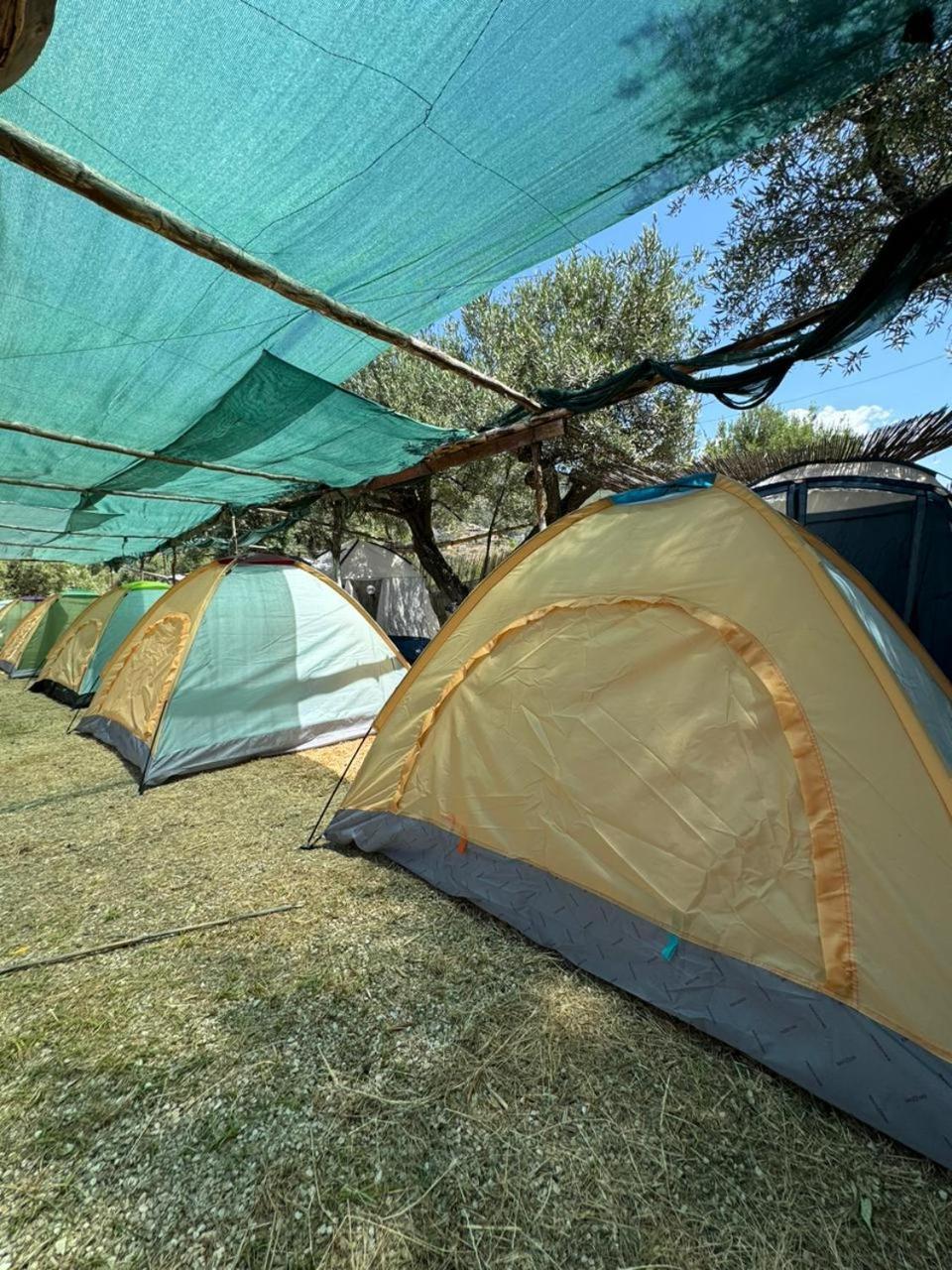 Kemping Camping Olive Trees