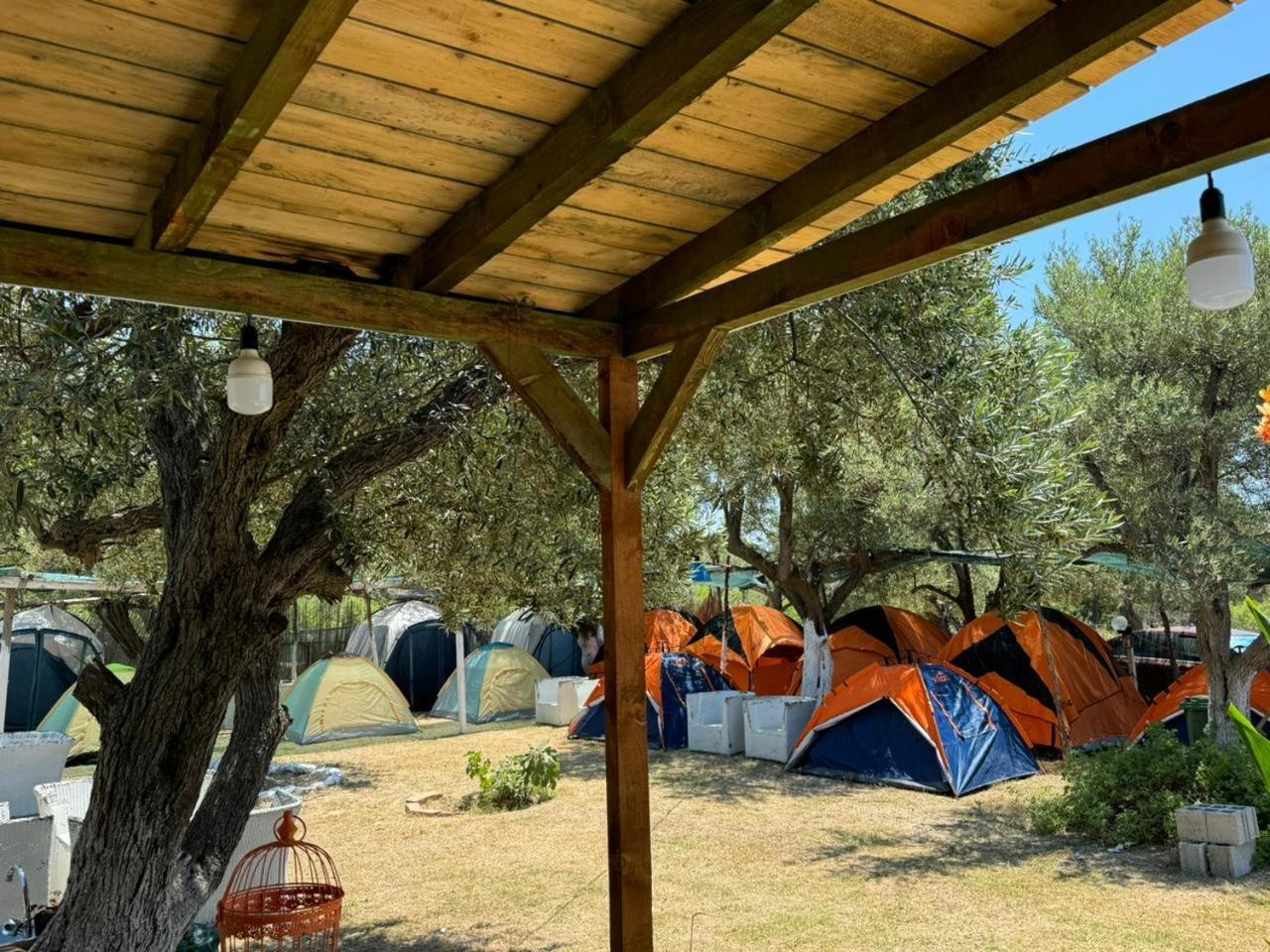 Camping Olive Trees Qeparo