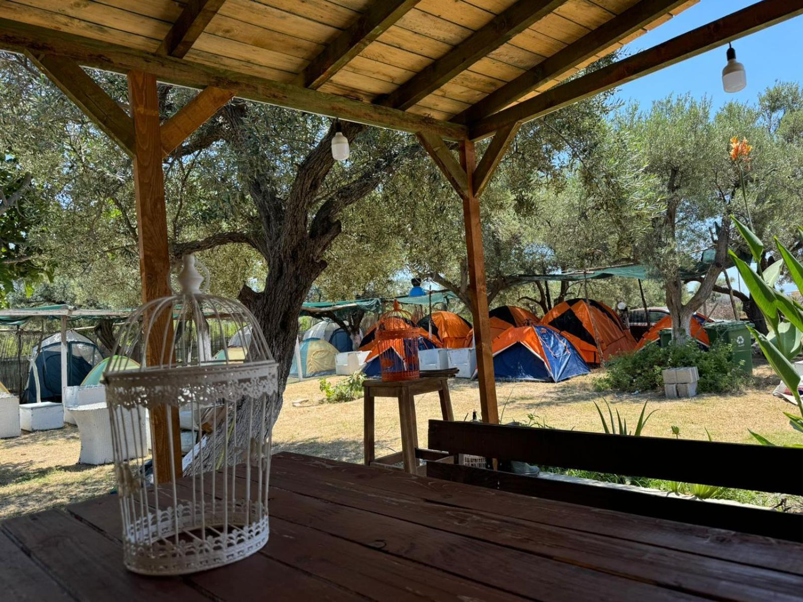 Camping Olive Trees *