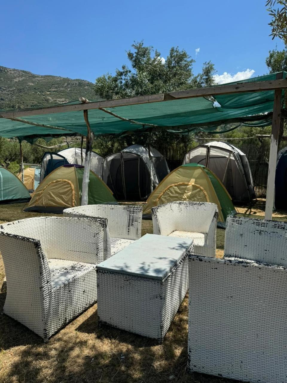 Kemping Camping Olive Trees Qeparo