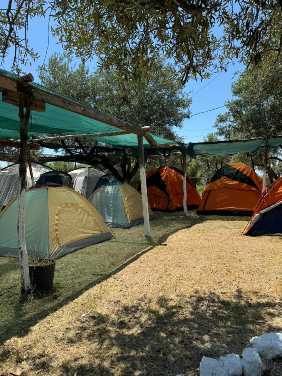 Camping Olive Trees Kemping *