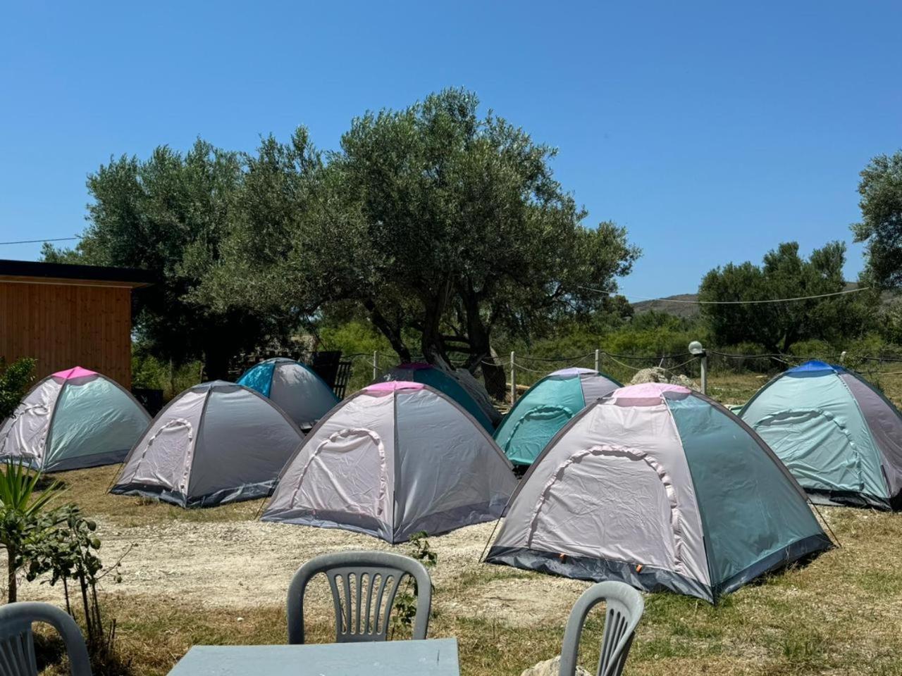 Camping Olive Trees * Qeparo