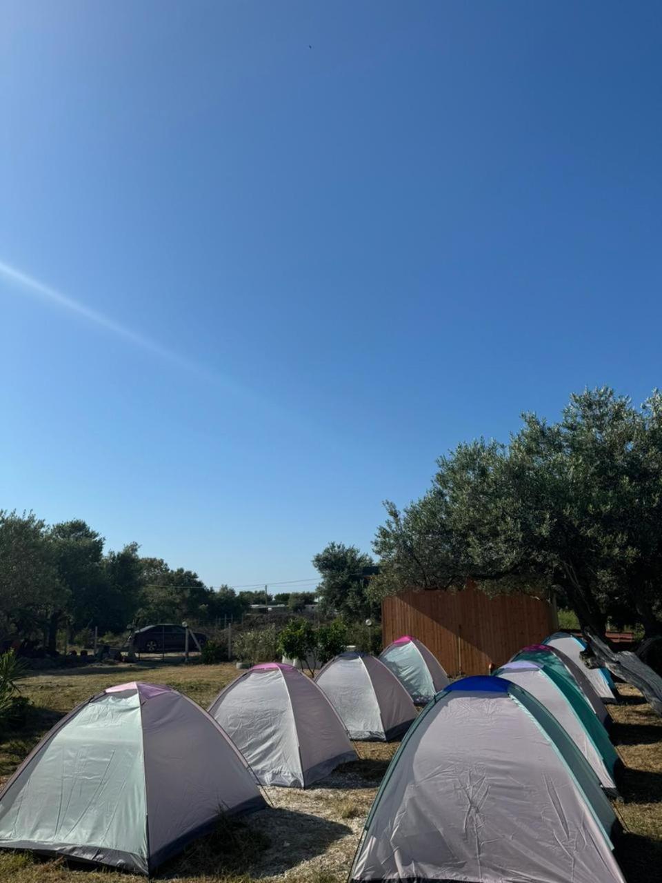 Camping Olive Trees * Qeparo