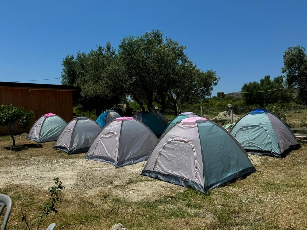 Camping Olive Trees * Qeparo