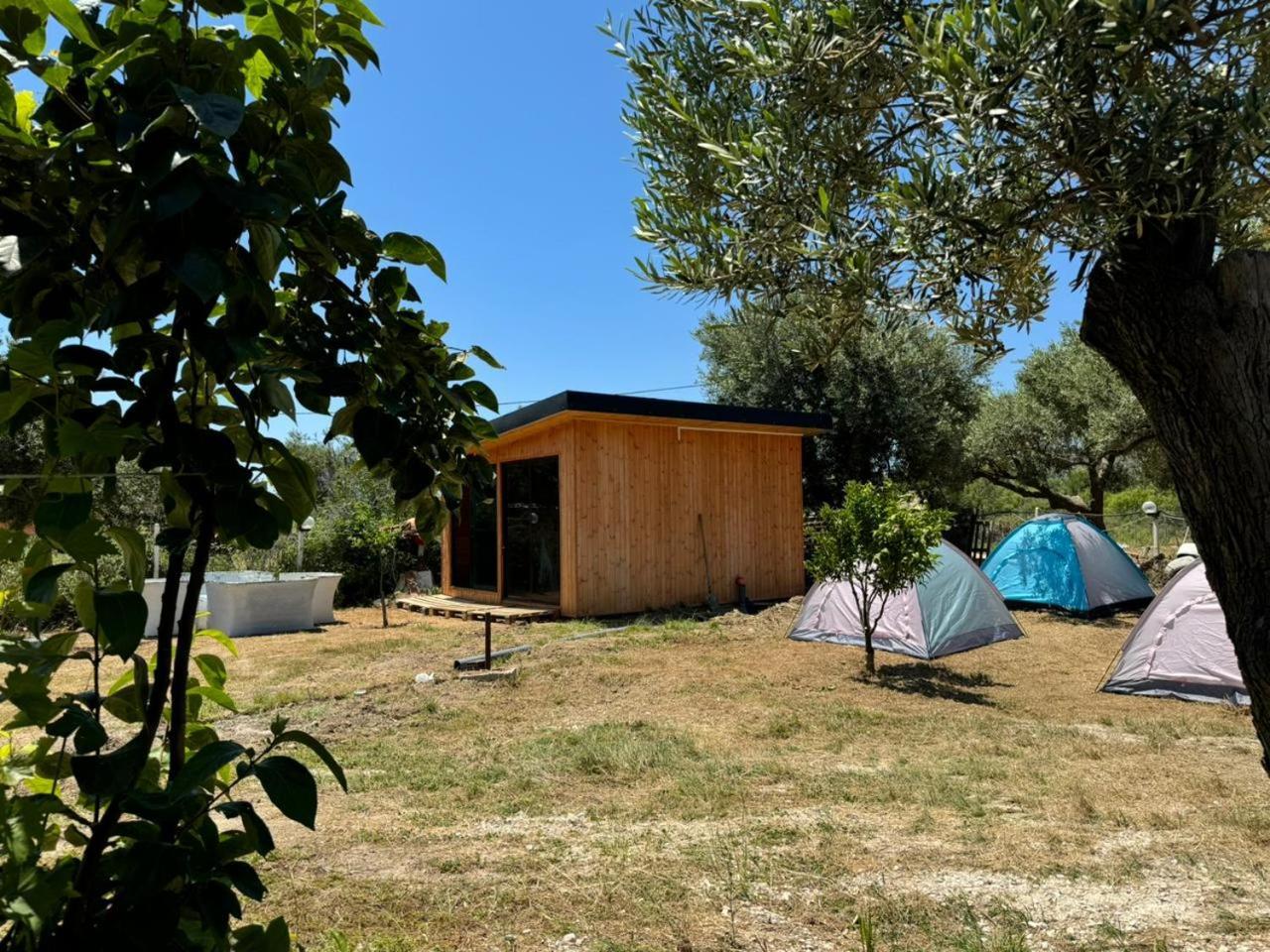 Camping Olive Trees Kemping
