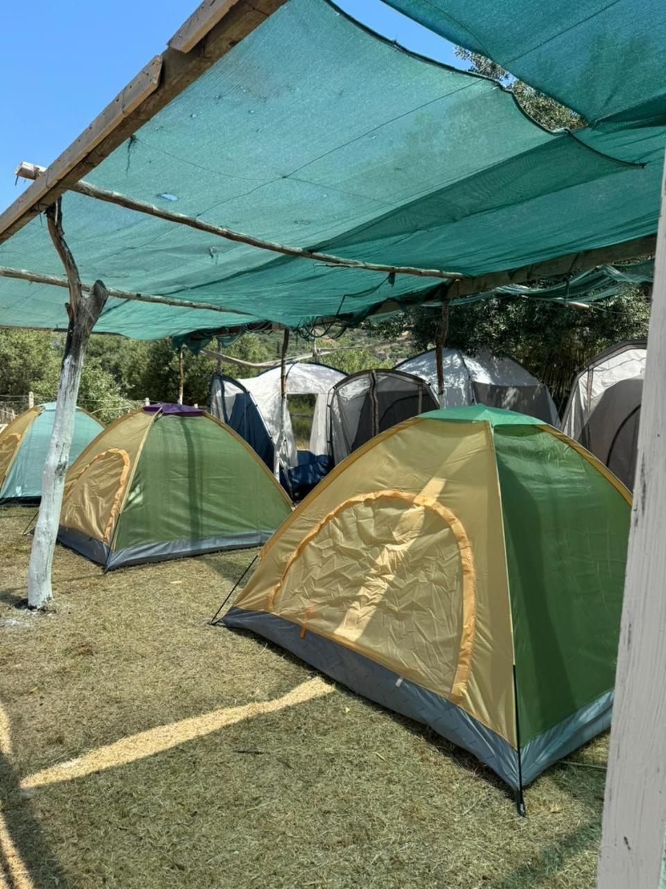 Kemping Camping Olive Trees *