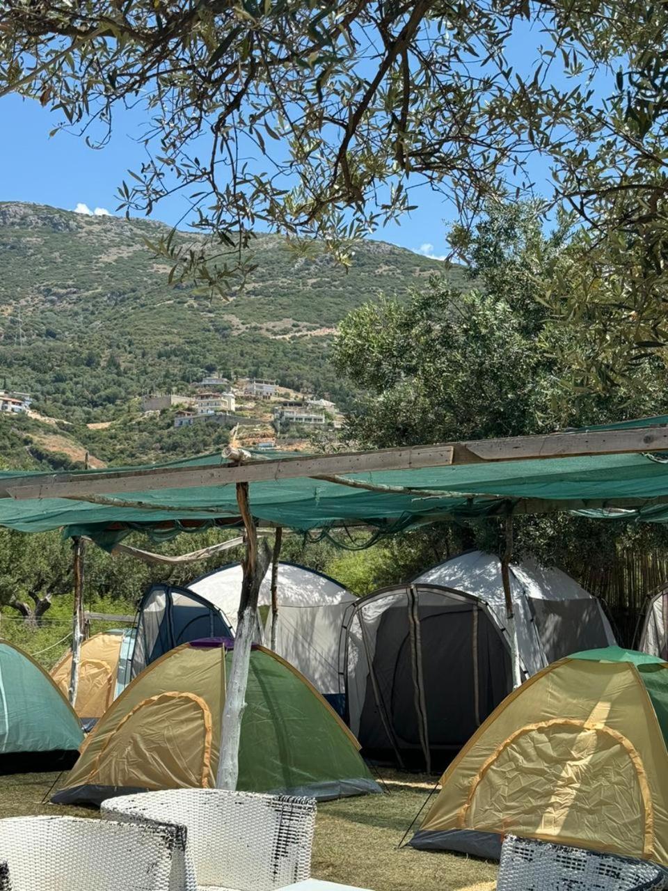 Kemping Camping Olive Trees Qeparo